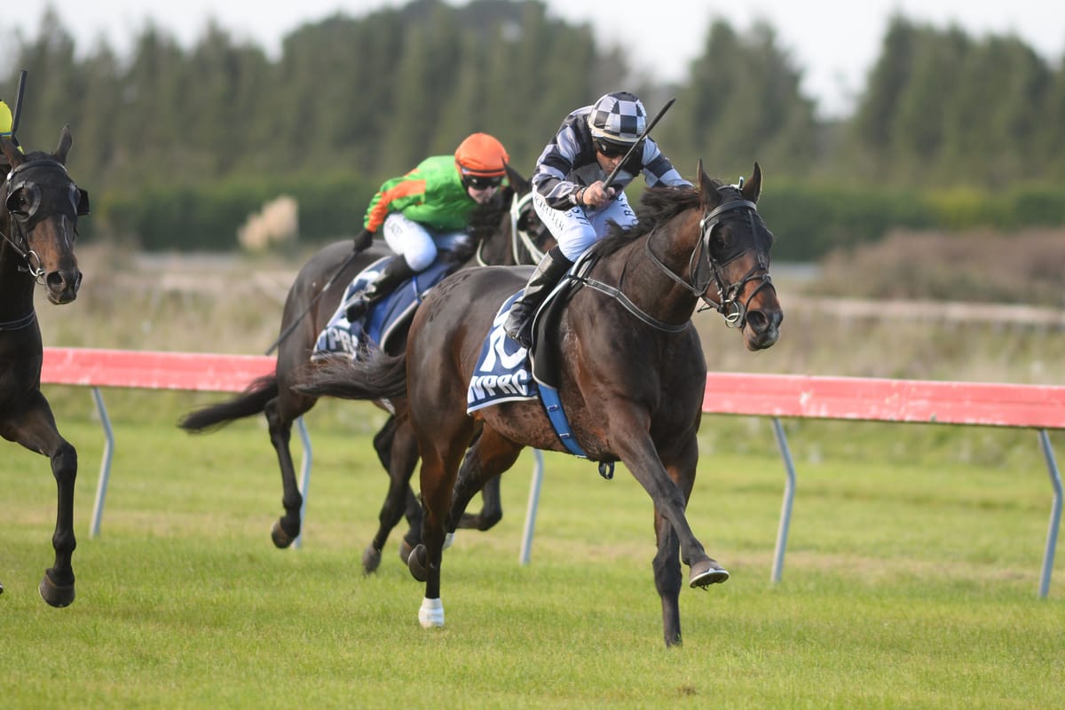 Special Cup winner for Bambry