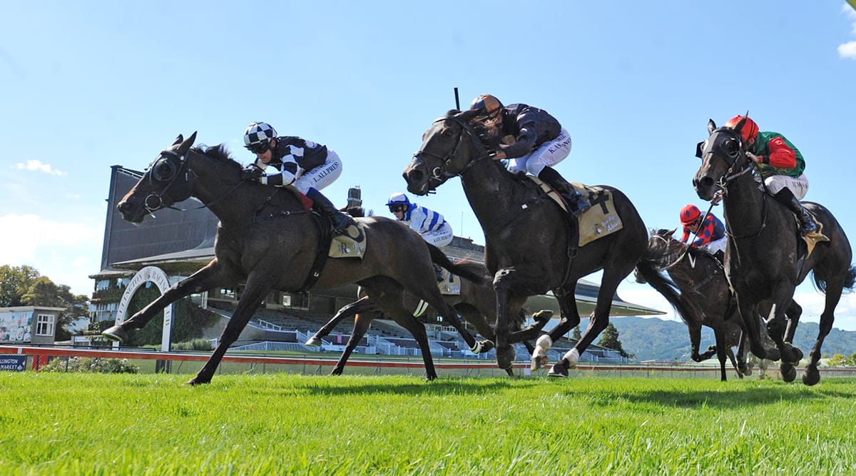 Swansongs for Sharrock pair