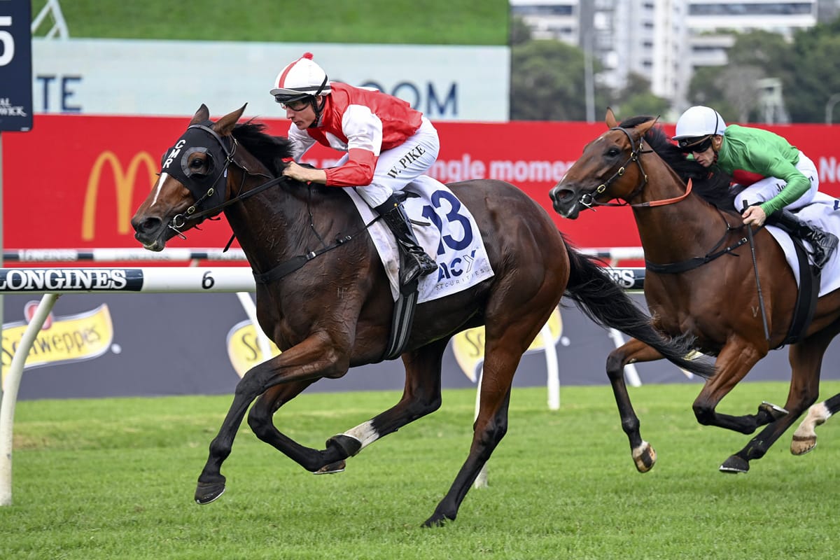 Kiwi acquisition scores in Frank Packer