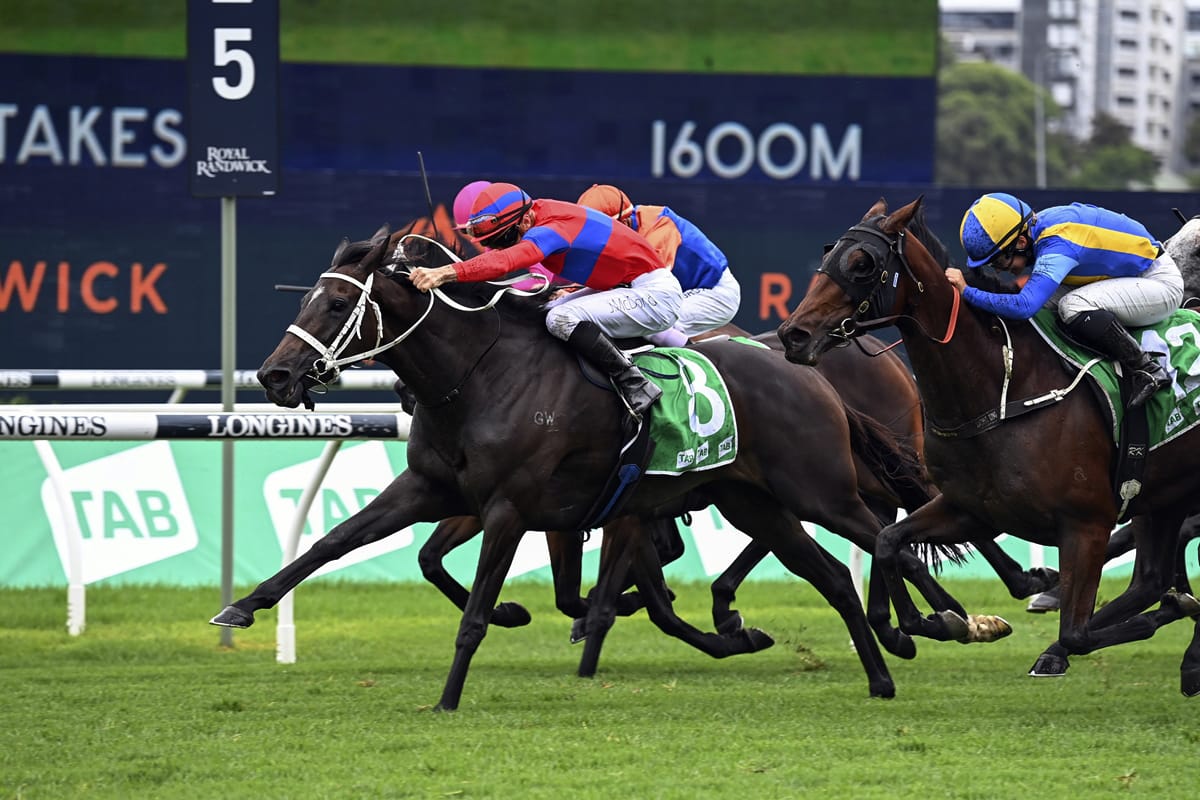 No Arc for Verry Elleegant