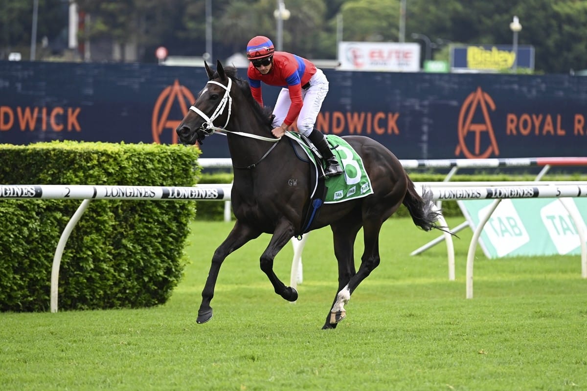 Unfinished business in Queen Elizabeth for Verry Elleegant