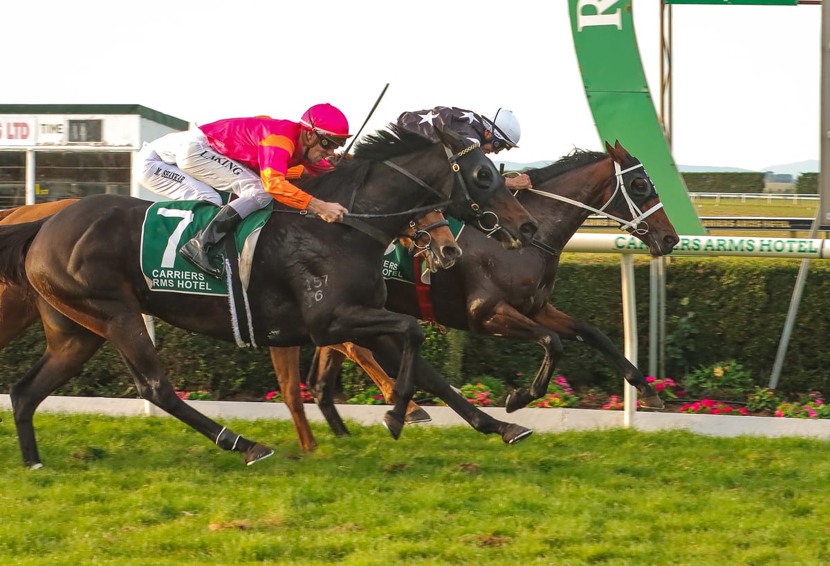 Harris caps superb day with Riverton Cup victory