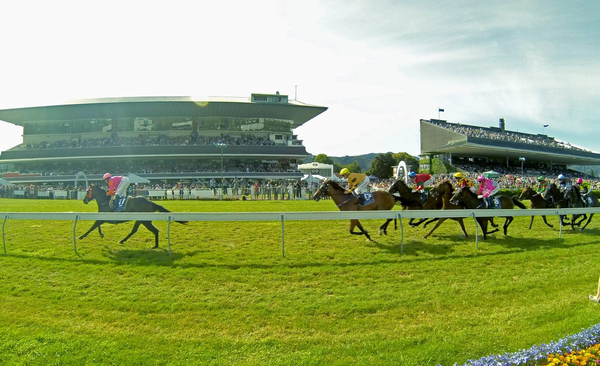Ambitious development promises to safeguard future of racing at Trentham