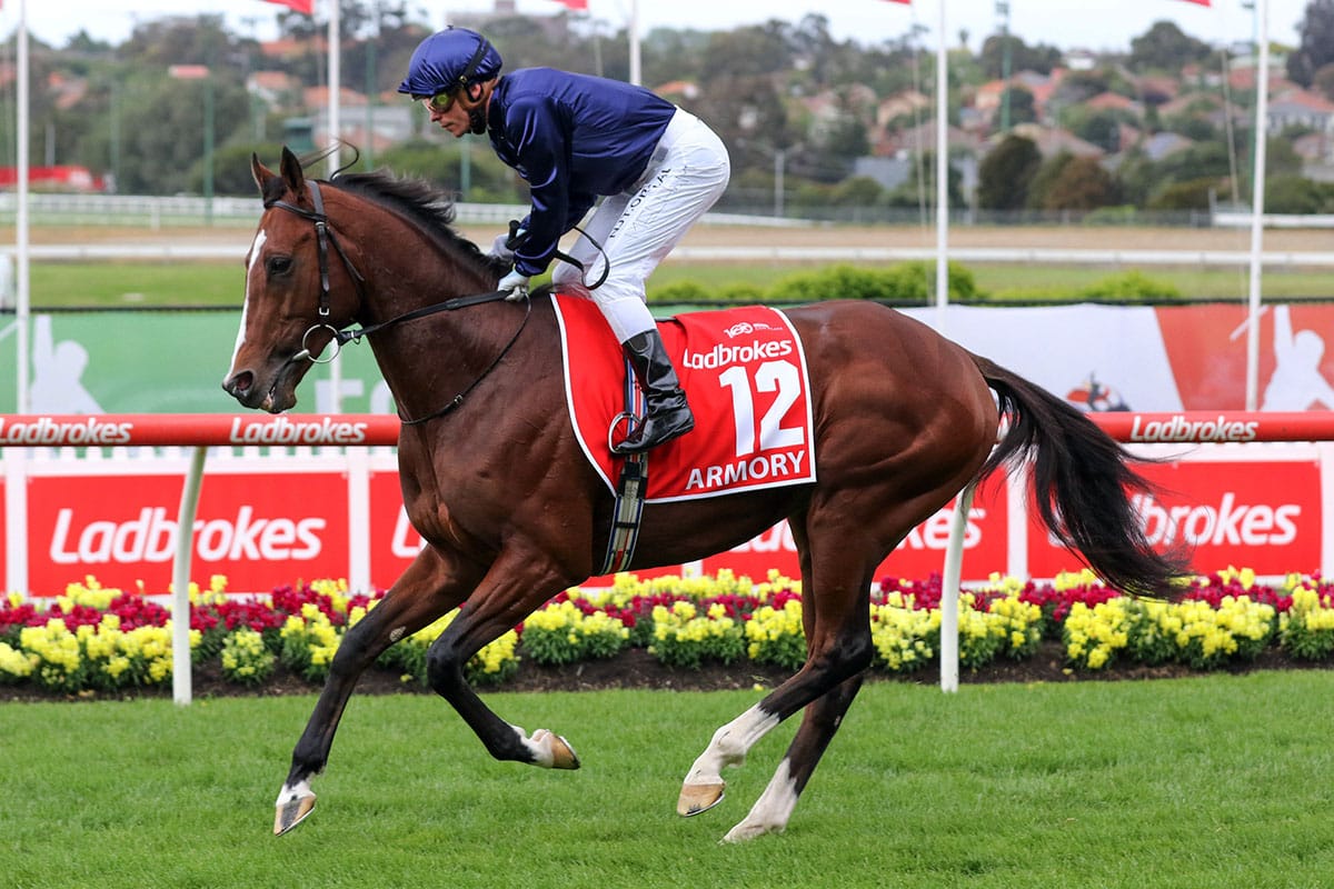 Mapperley Stud Open Day