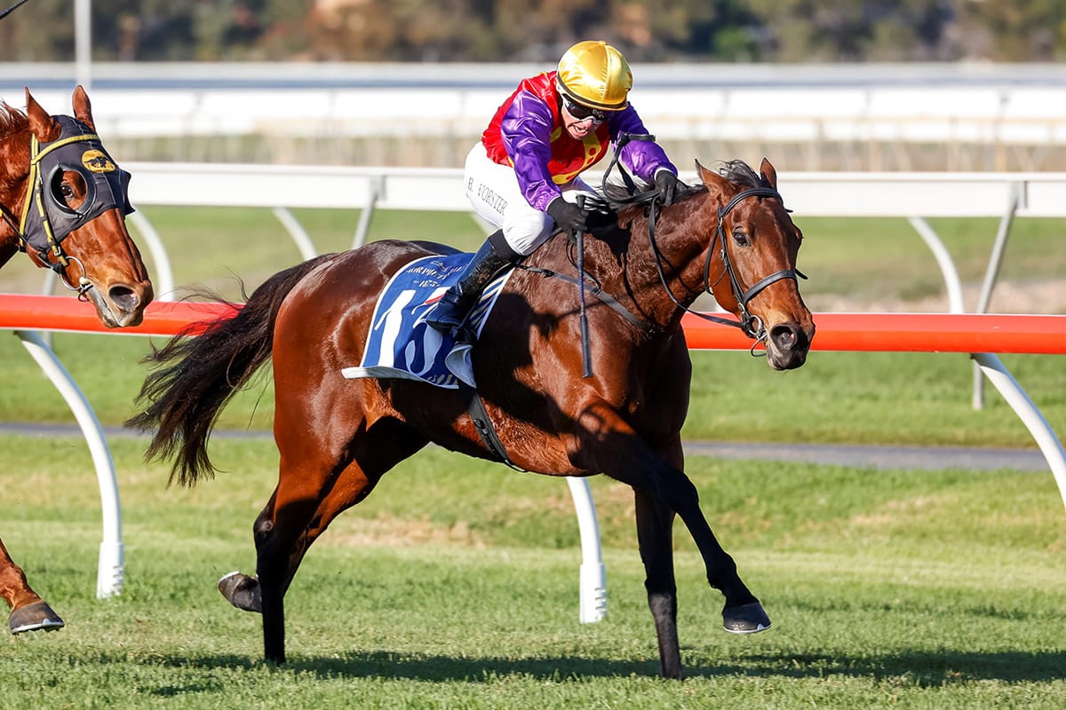 Belle Plaisir running on all cylinders