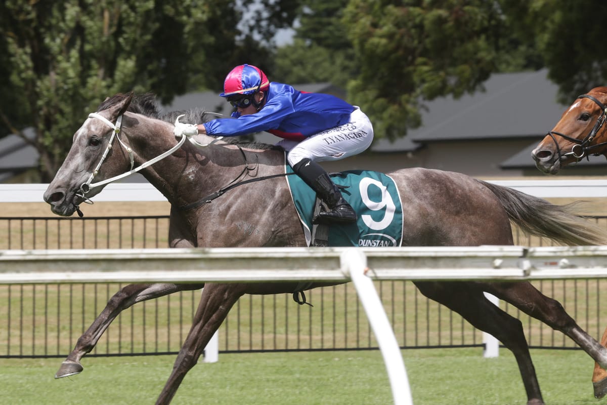 Stablemates signing off in juvenile feature