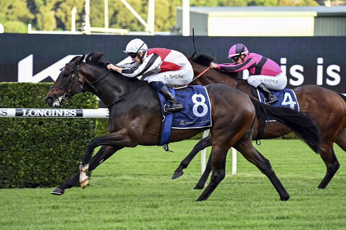 Cotehele scores Randwick victory