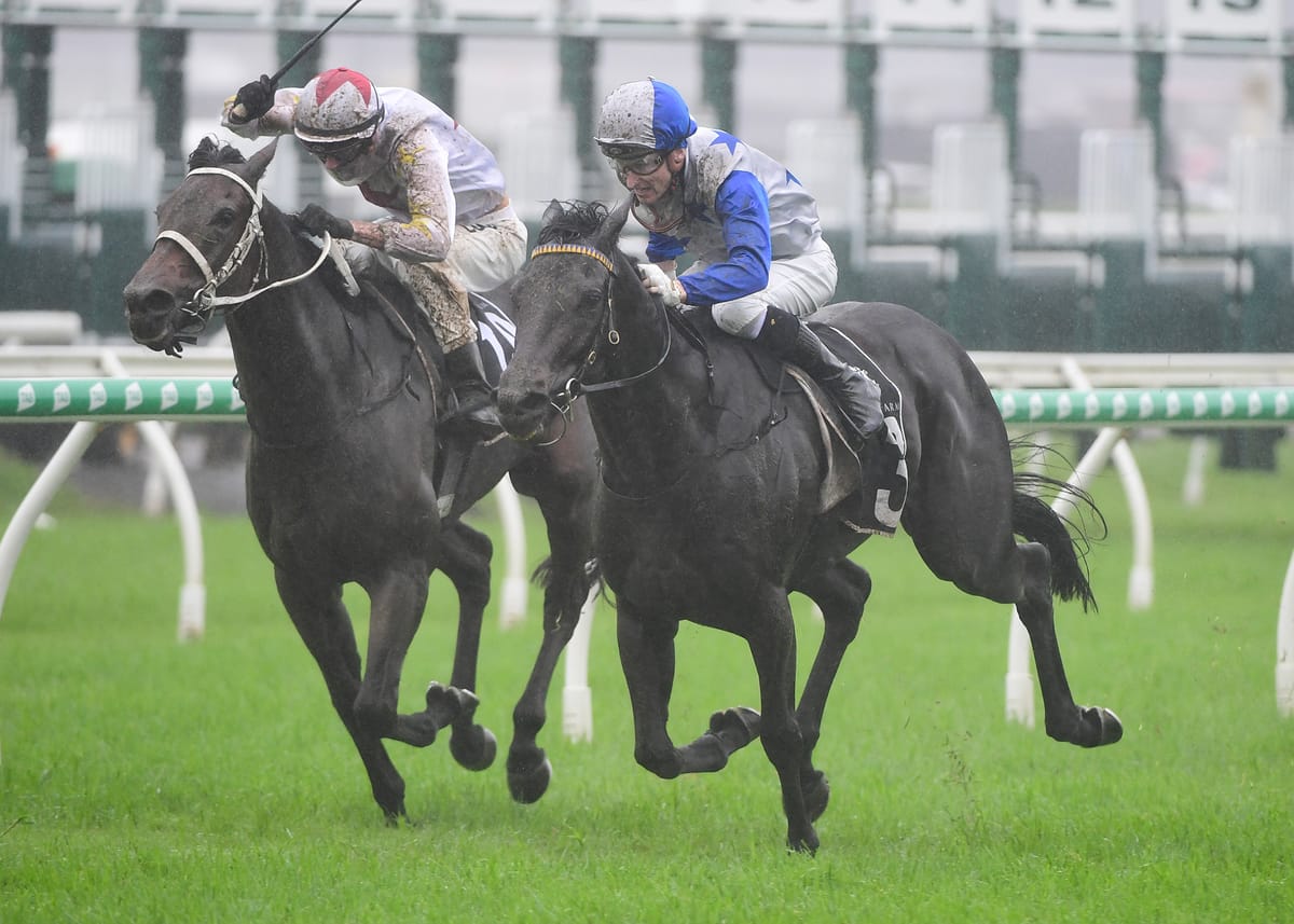 Dark Destroyer game in Rough Habit