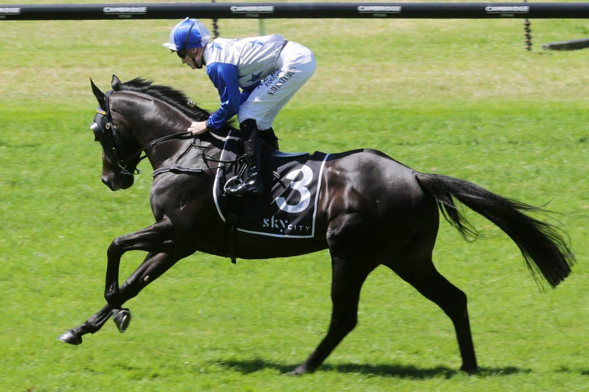 Dark Destroyer the bright spot in week of drama for O’Sullivan