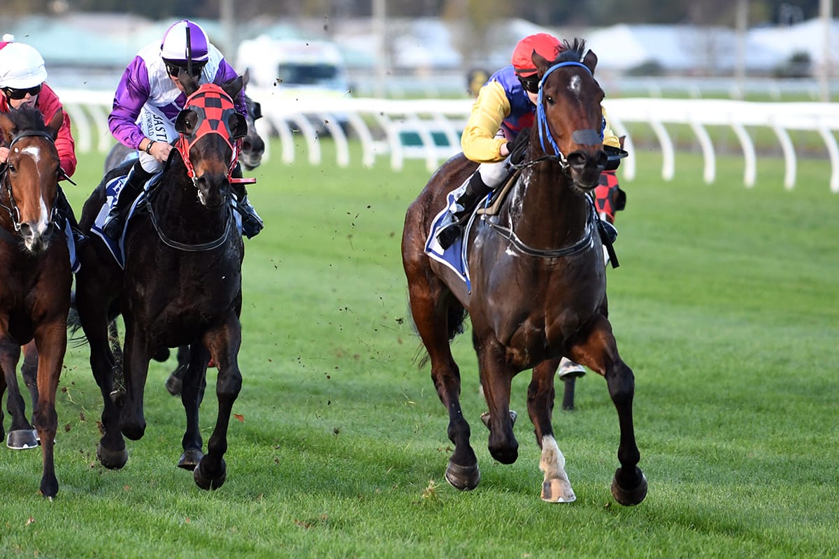 Mission accomplished for Durham Lad