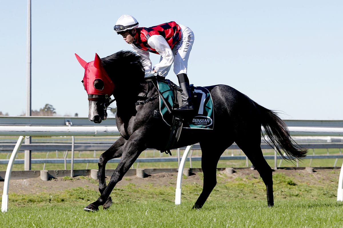 Australian campaign for Farrenc