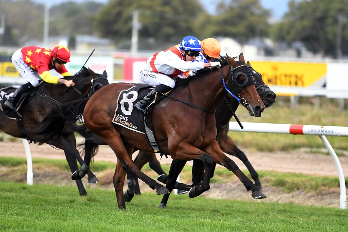 Germanicus set to bounce back at Te Rapa