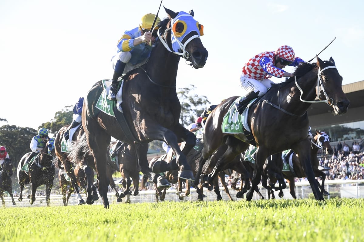 Stradbroke in the offing for Gospodin