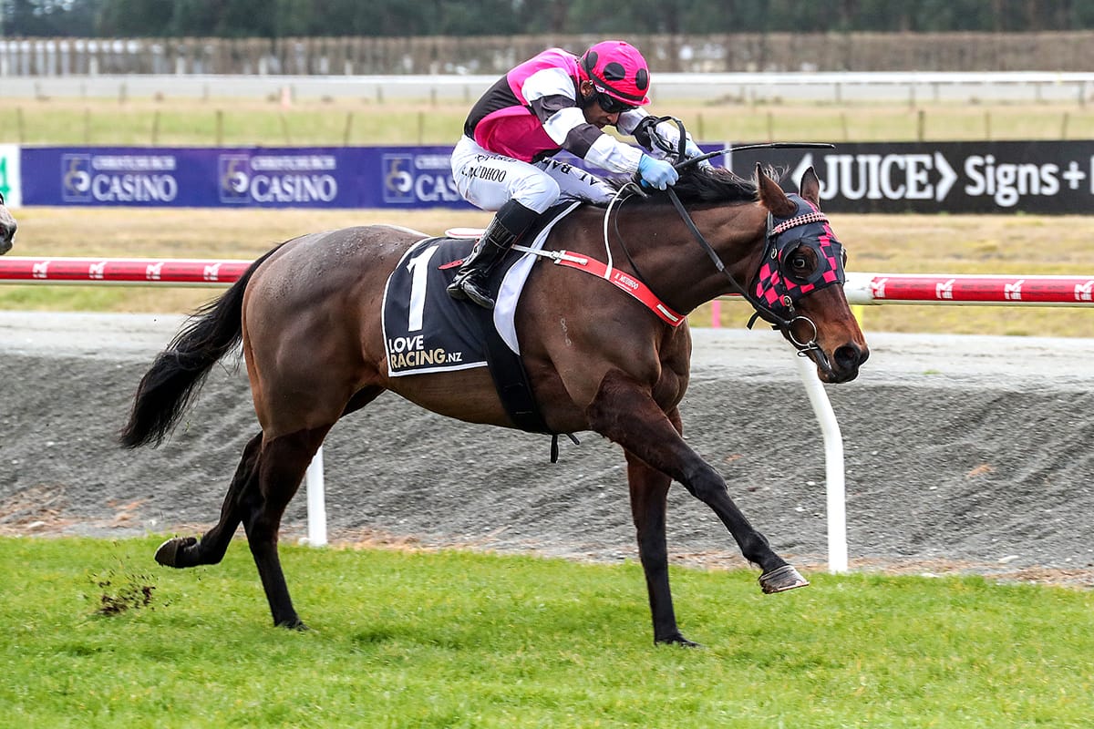 Trans-Tasman weekend for Tylers