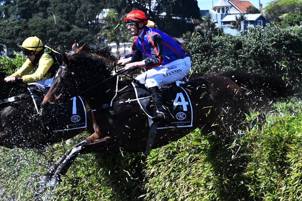 Magic Wonder makes jumping return