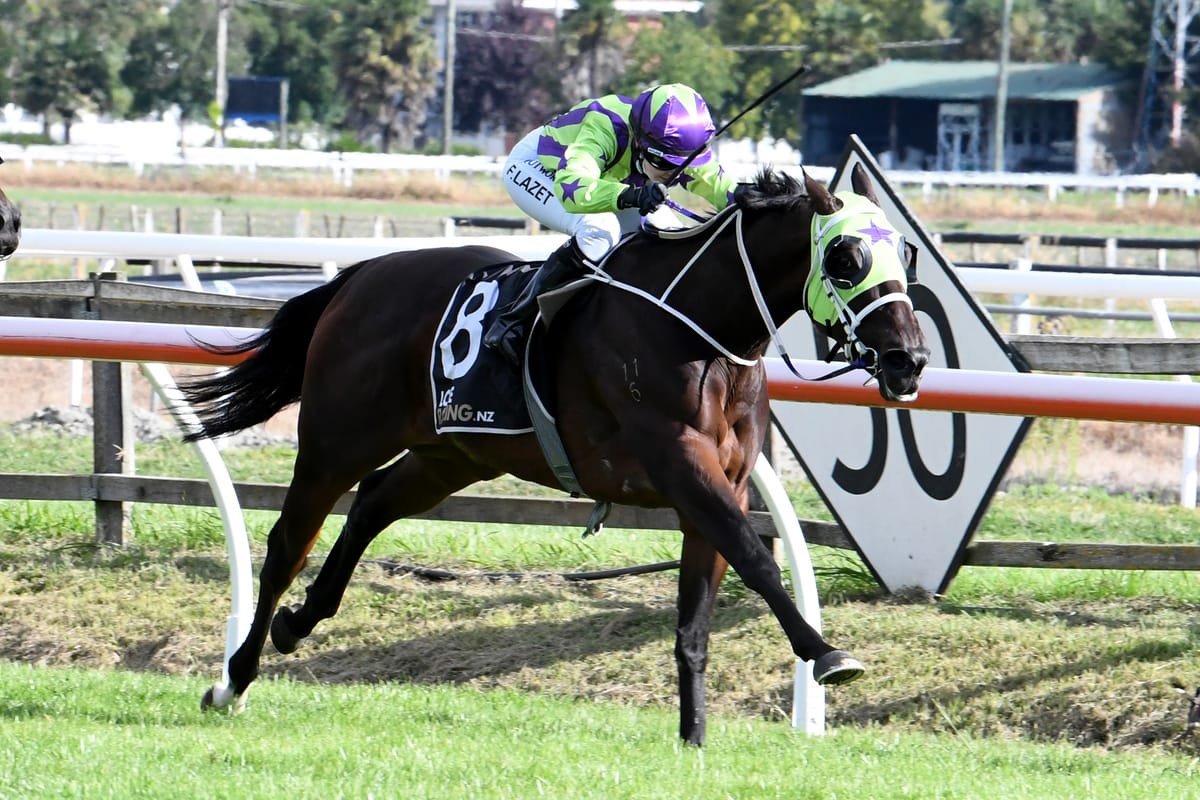 Plainer sailing for stakes contender