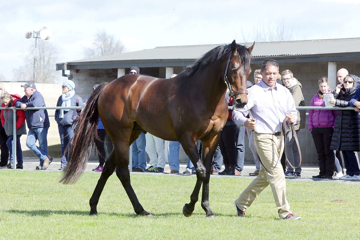 Increased fee for Ocean Emperor