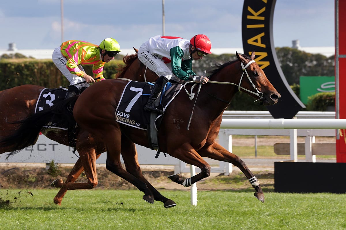 Marsh doubles up at Te Rapa