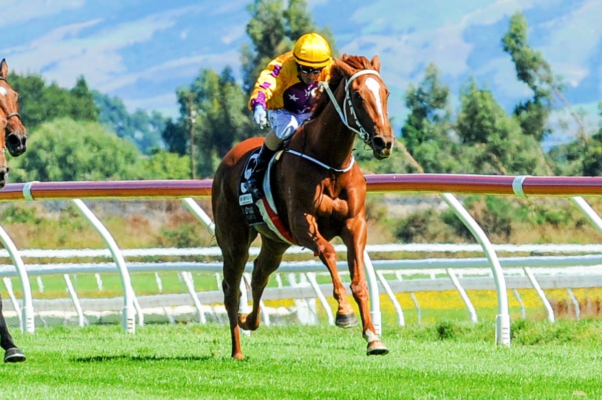 Furlong excited for historic polytrack meeting