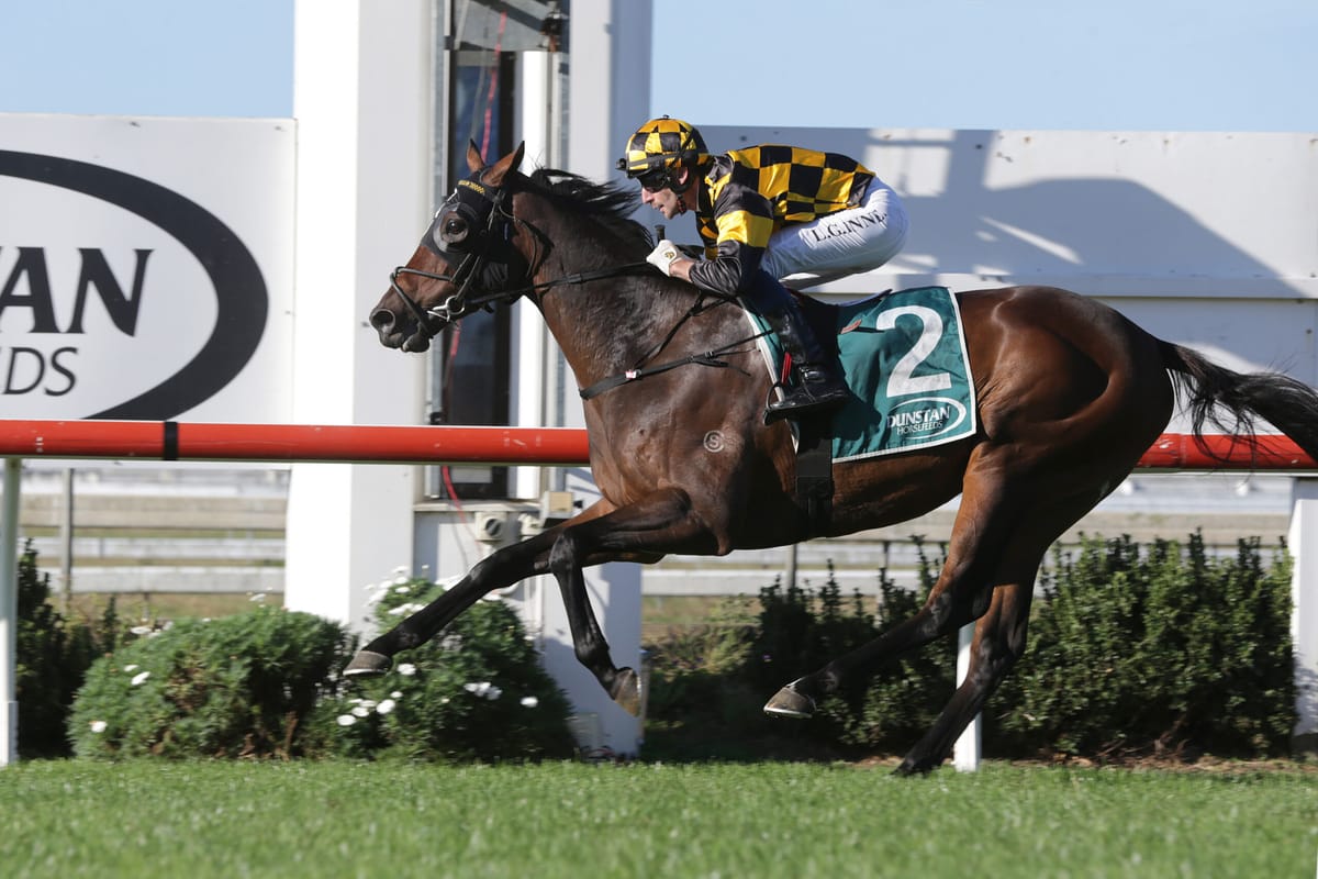 Pinarello still in Queensland Derby mix