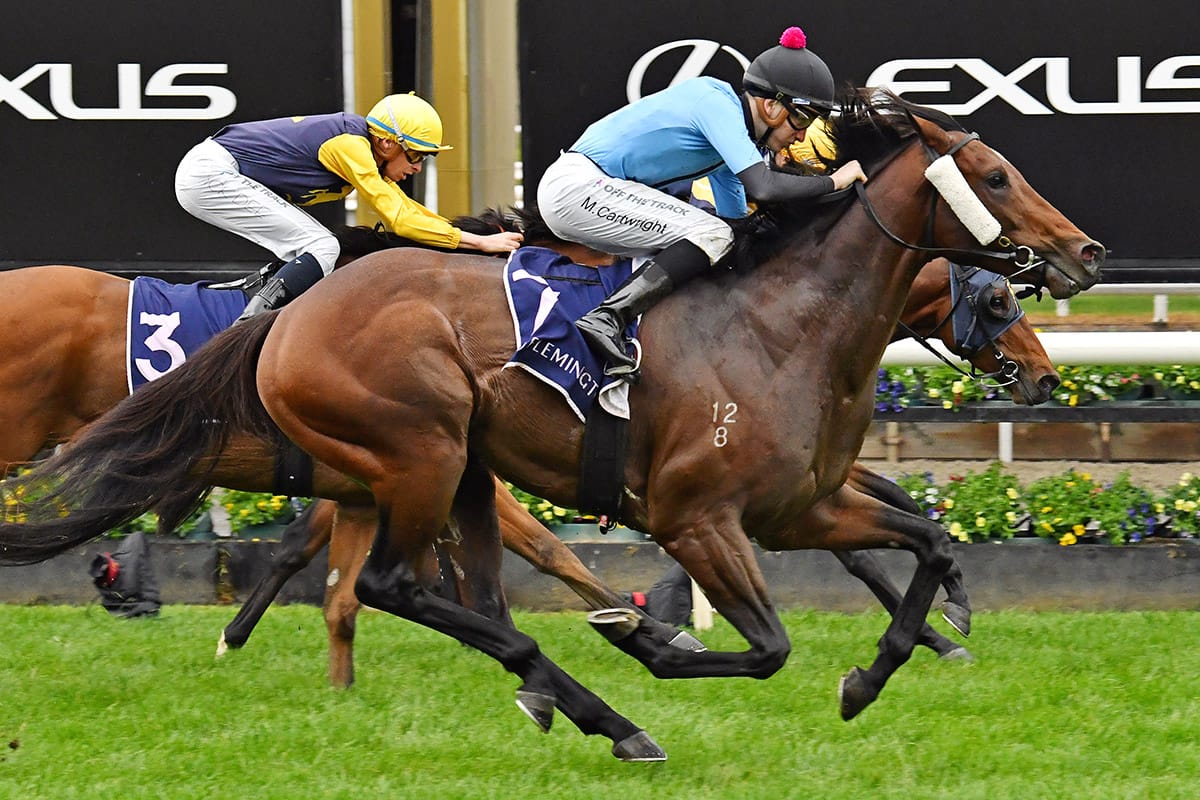 Flash Feeling flashes home at Flemington