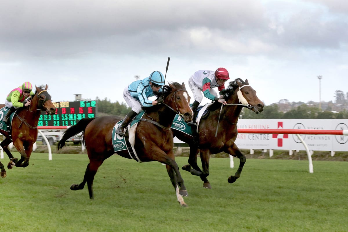 Petite mare Rose Crescent tall on performance