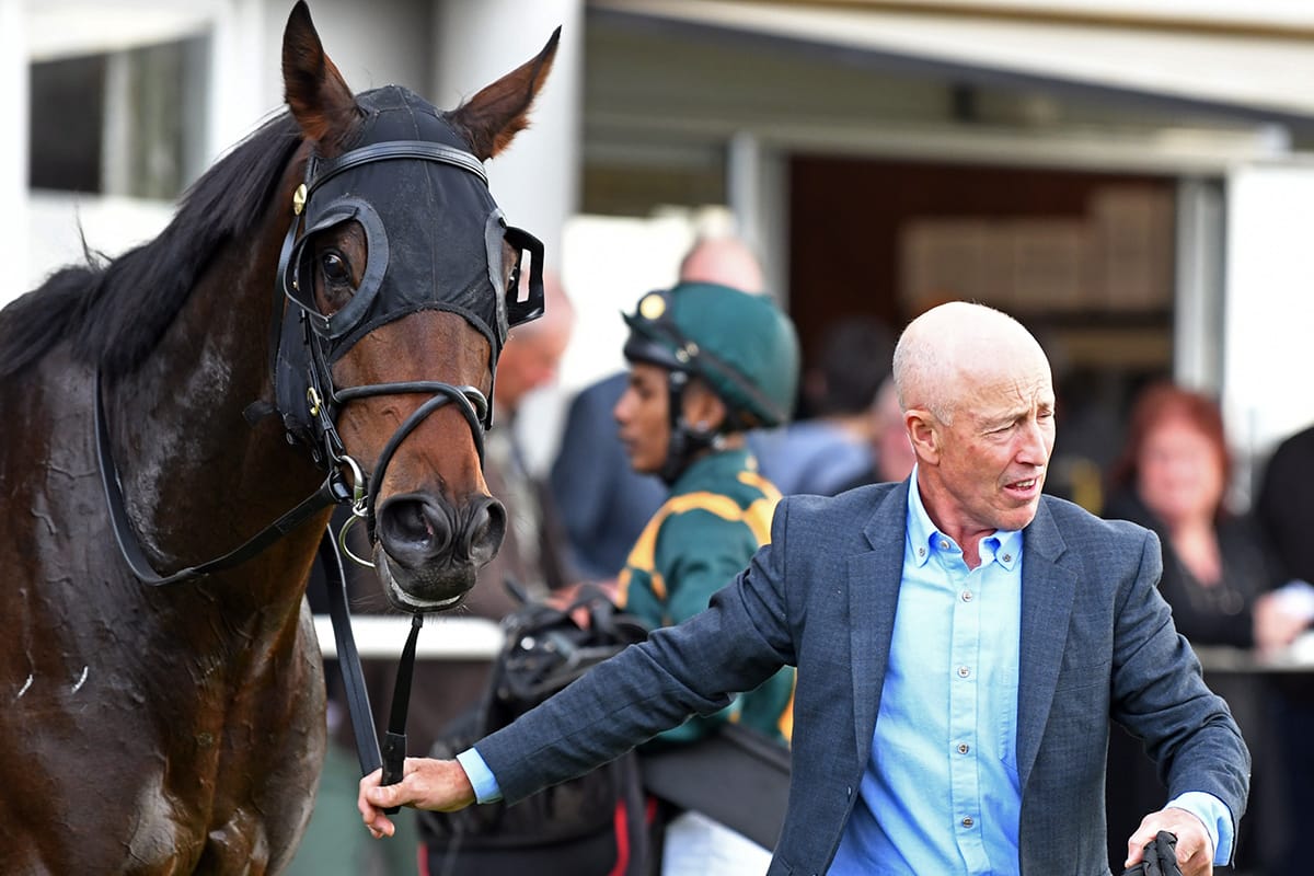 Richards juvenile to debut at Pukekohe