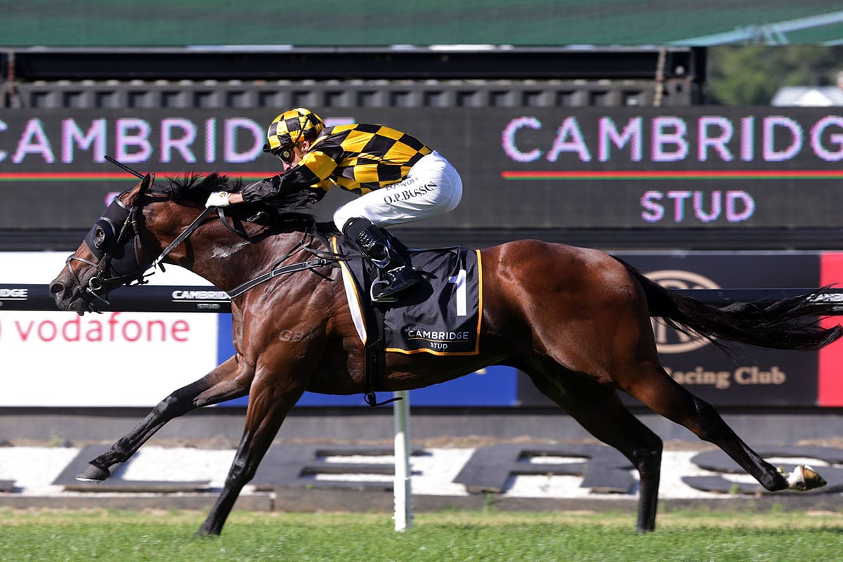 Sword Of State retired