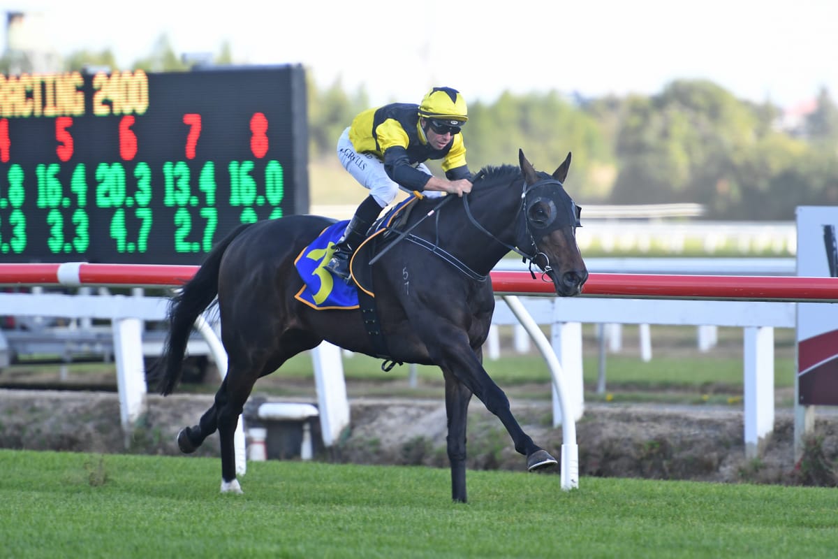 Exciting times for The Bold One