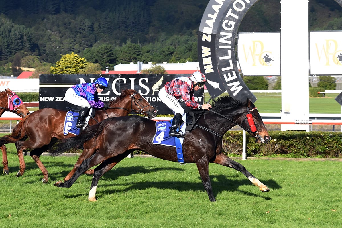 Times less than smooth for MacGregor charge