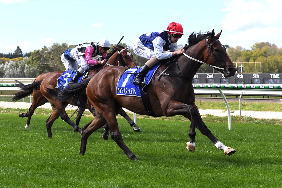 Pagan after Melbourne Cup ticket