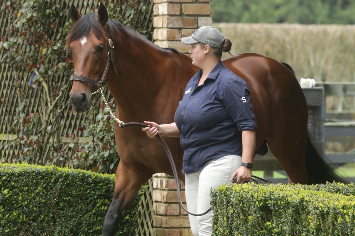 Quickly Turning into a top sire