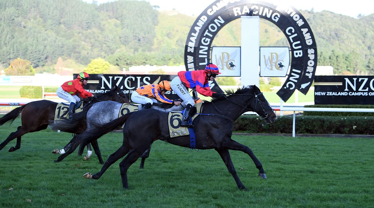 Verry Flash upsets in Rangitikei Gold Cup