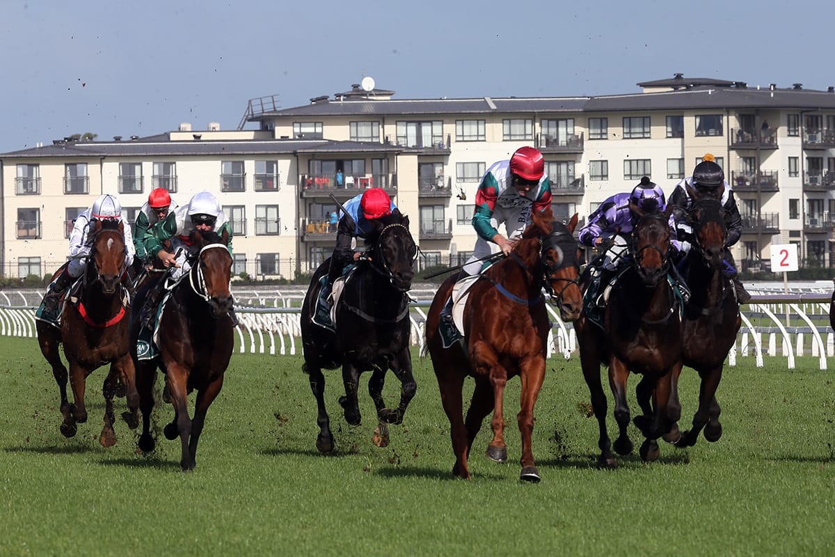 Lowry looking to the future with impressive Te Rapa winner