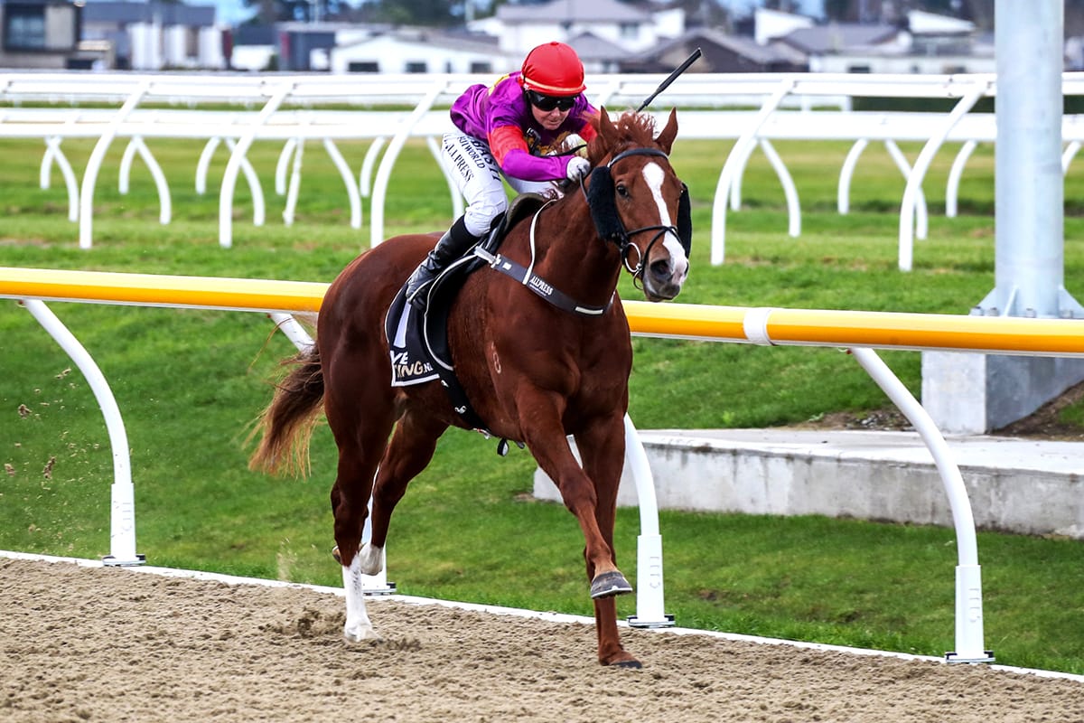 Choisia Prince shoots for Riccarton polytrack double