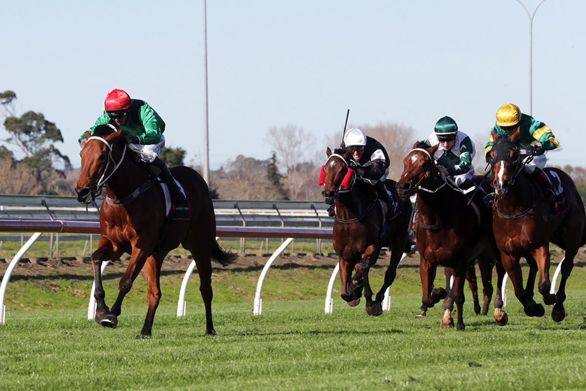 Crazy In Love scores on debut