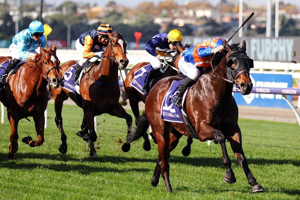 Victoria Derby plan for upset Flemington winner