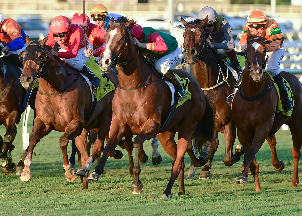 Juan Diva caps momentous season for Taylor family