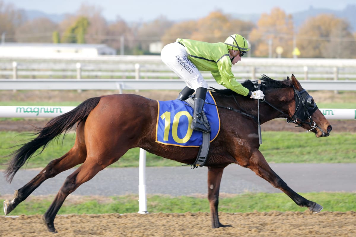 Weatherley riding crest of a wave