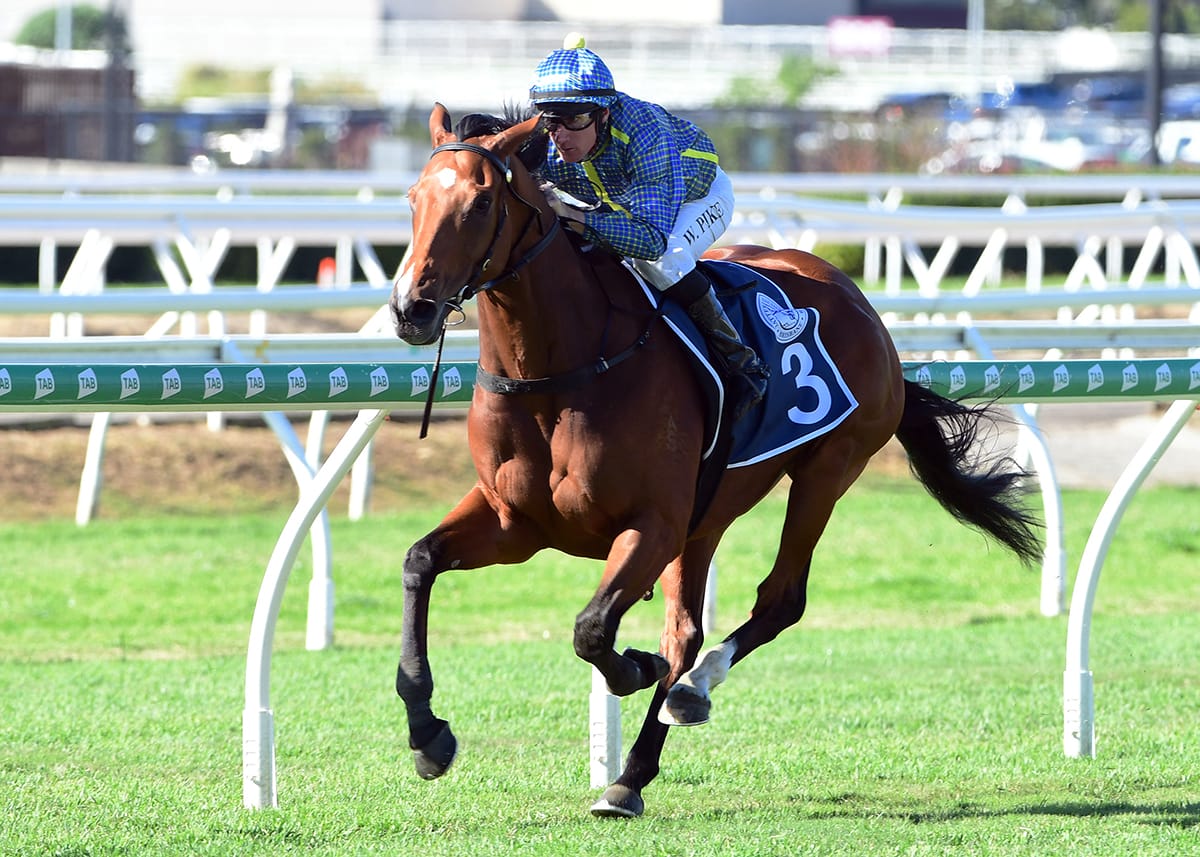 Banker cashes in on Tattersall's Cup