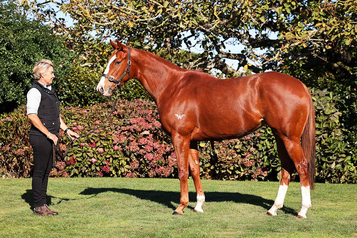 Miss Tycoon Rose heads to Tyreel