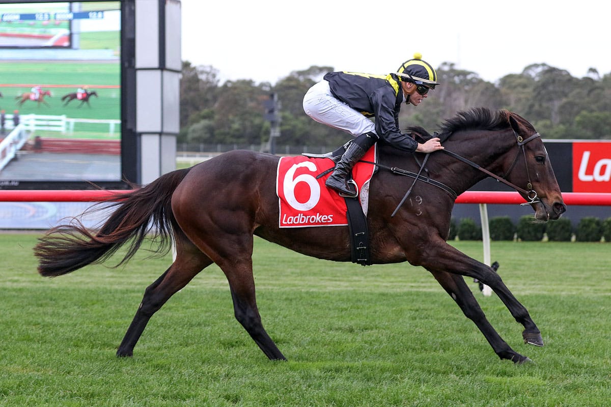 Kiwi-breds salute at Sandown