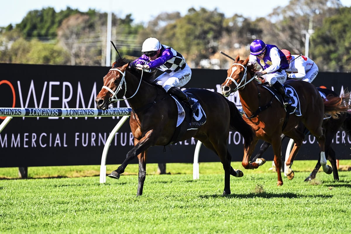 Waller unleashes promising colt at Rosehill