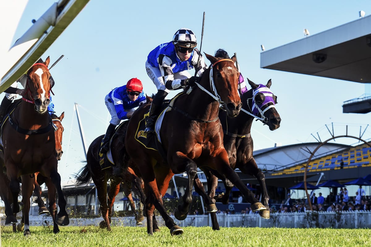 Kiwi imports bearing fruit for Australian Bloodstock