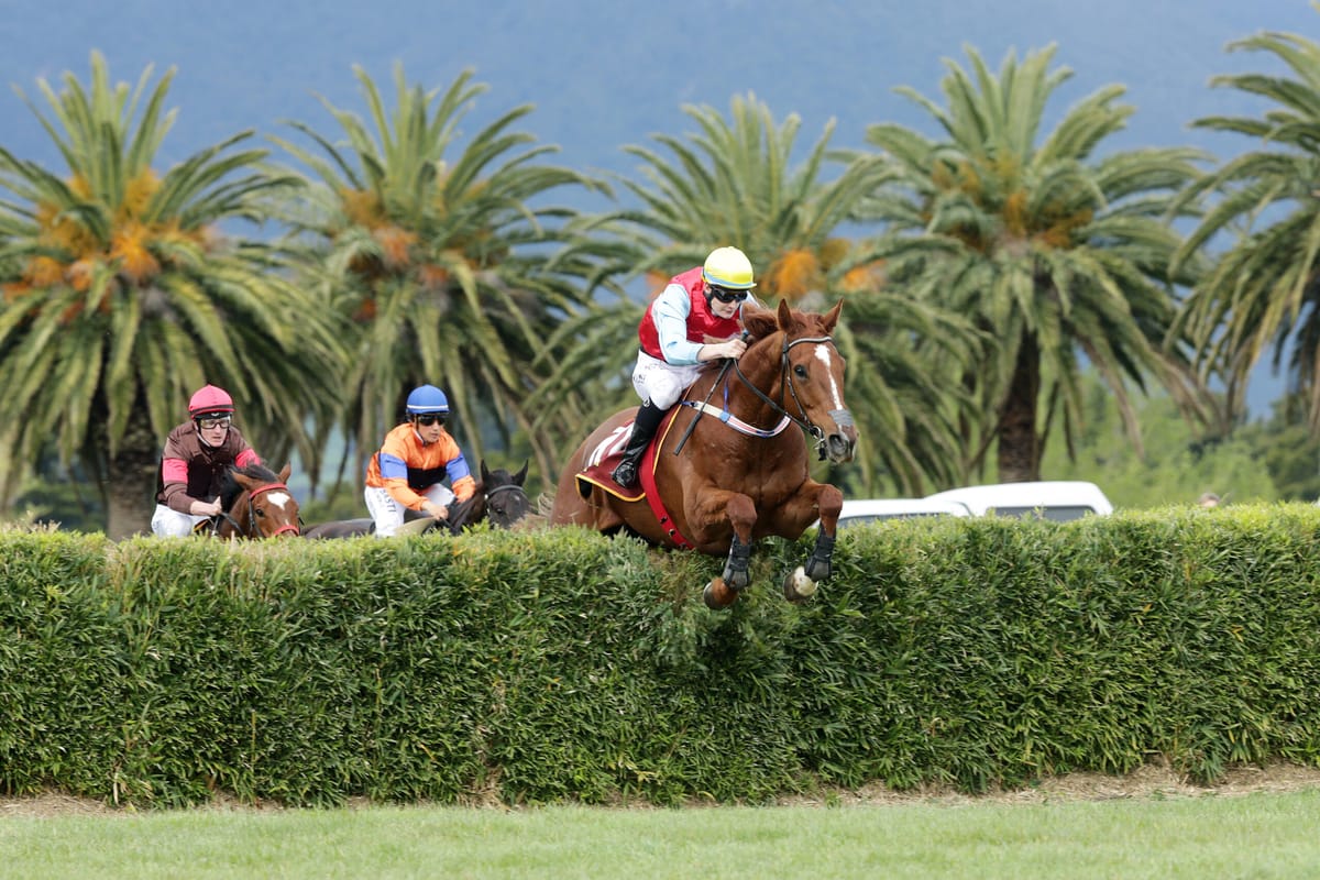 Pythagoras back in calculations