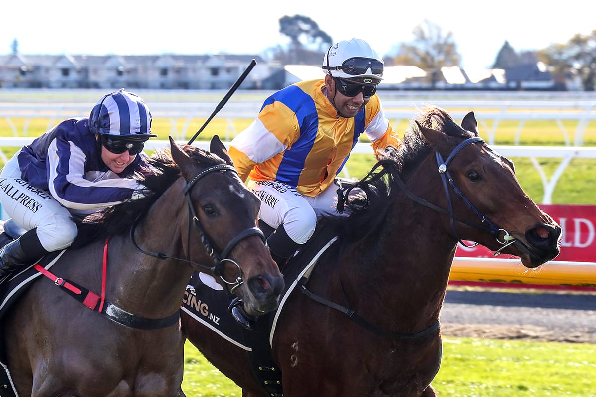 Rhonda Wood impresses on debut at Riccarton