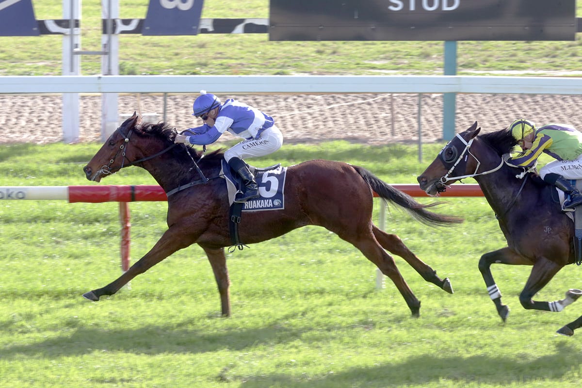 Rogerson produces winning double at Ruakaka