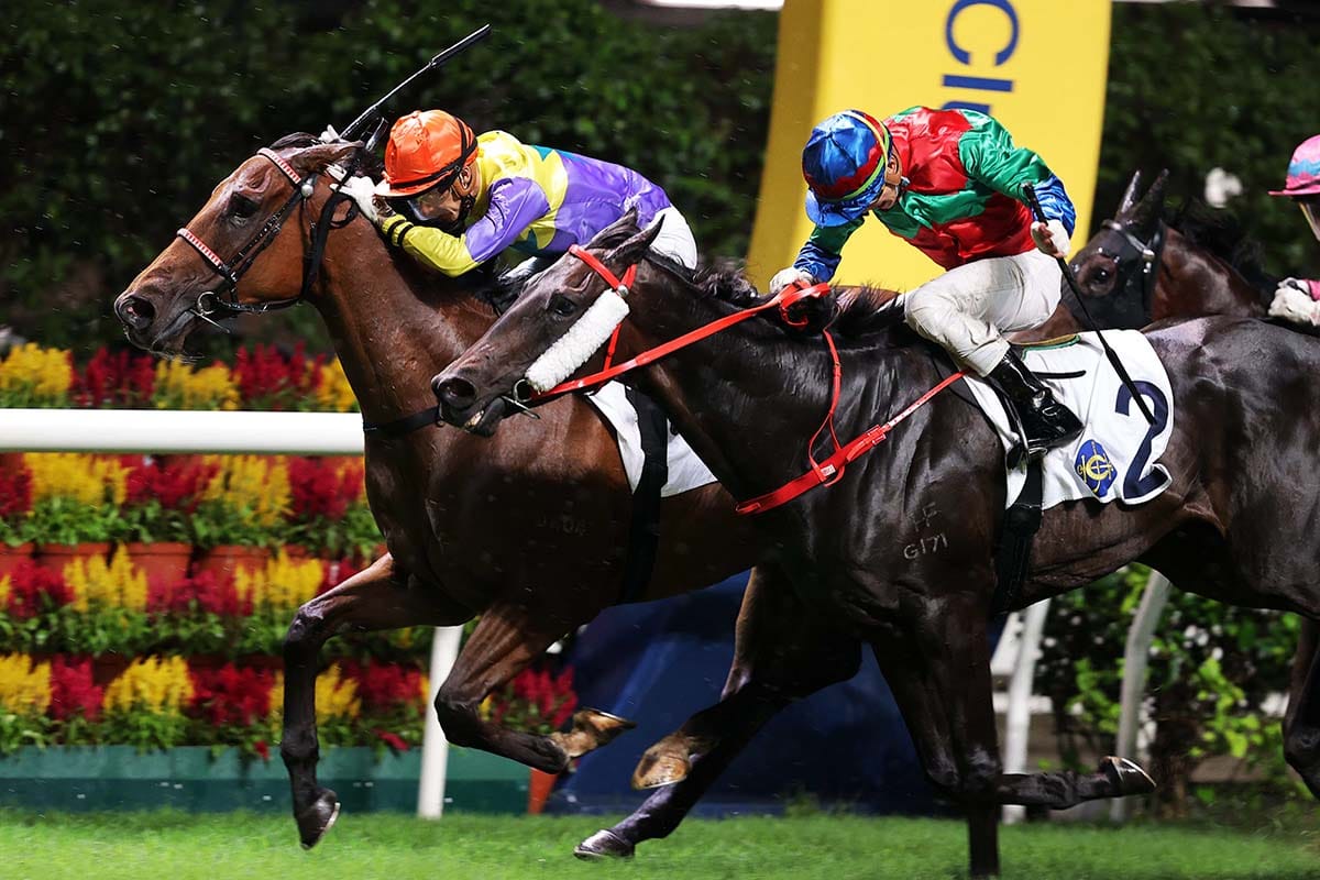 Soulmate crowns progressive stint with Happy Valley triumph