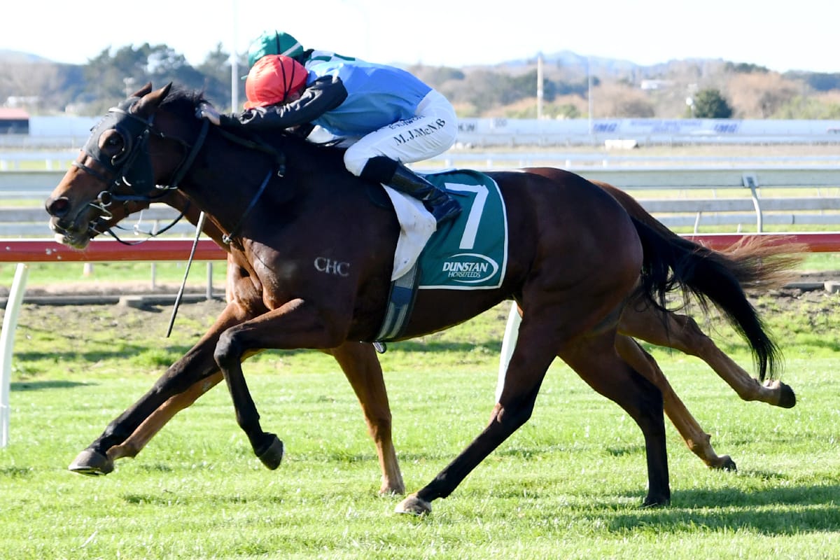 Targhee scores at Pukekohe