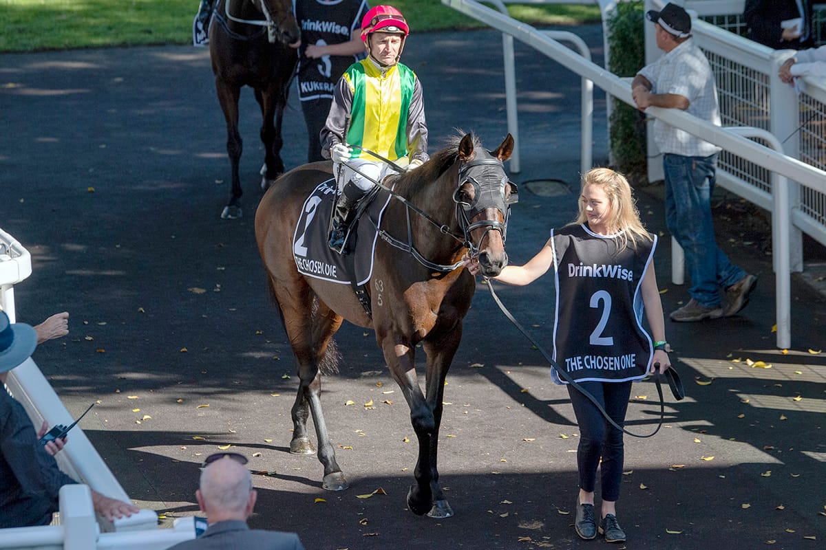 Bosson and The Chosen One hoping to both bow out winning